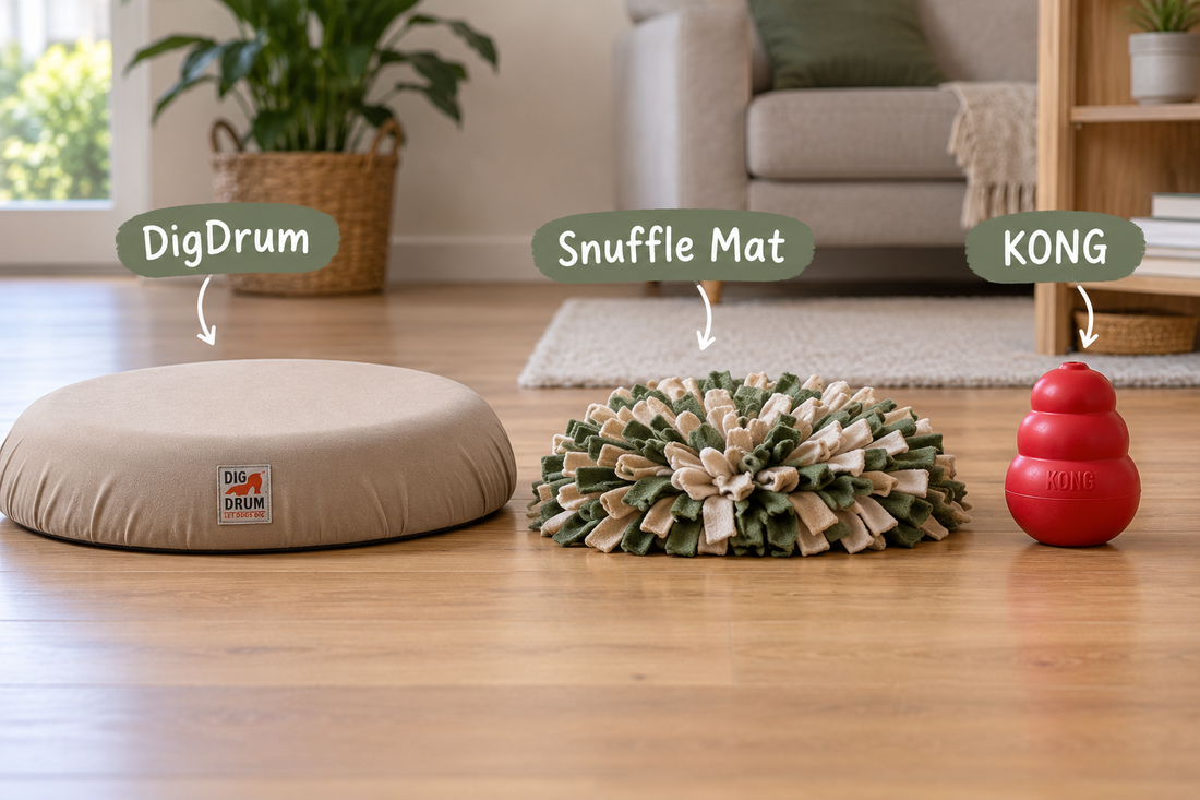 DigDrum vs Snuffle Mats & KONGs: Why Digging Deserves Its Own Enrichment Toy