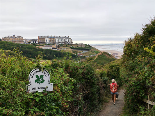 10 Dog-Friendly National Trust Locations You Need to Visit