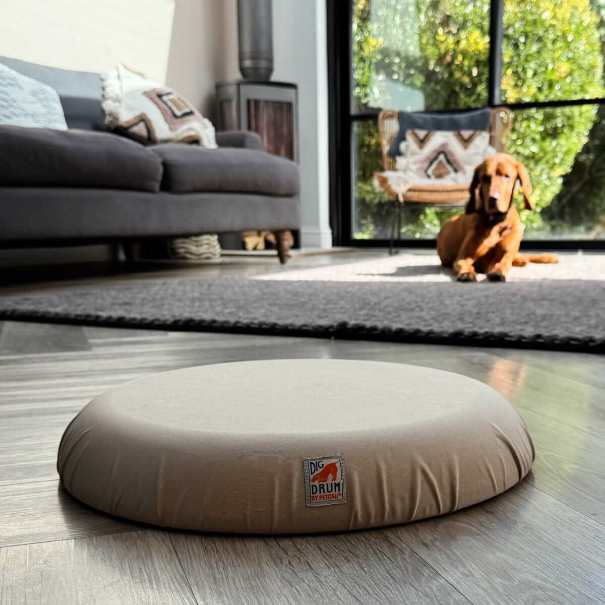 DigDrum on a wooden floor with a dog sitting in the background.