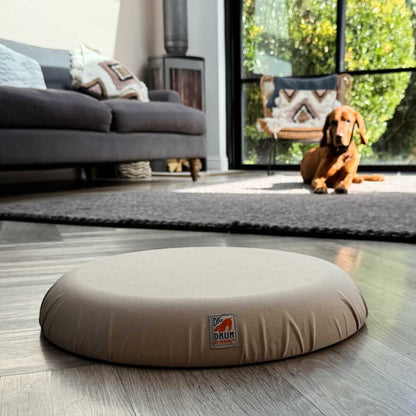 DigDrum on a wooden floor with a dog sitting in the background.