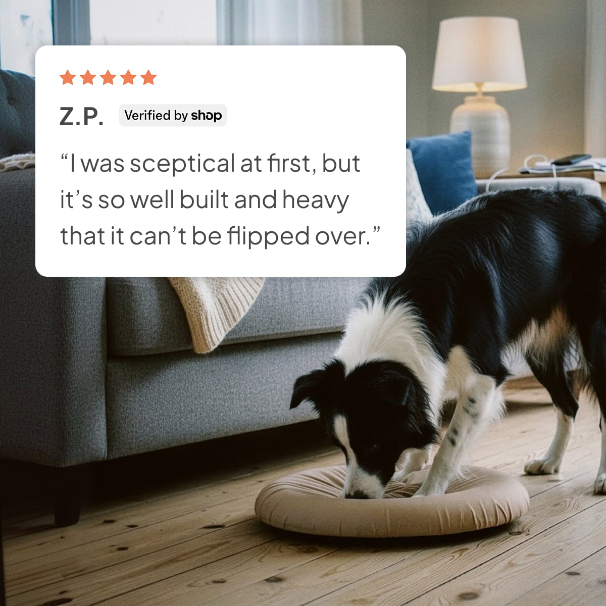 DigDrum – The Ultimate Dog Digging Toy