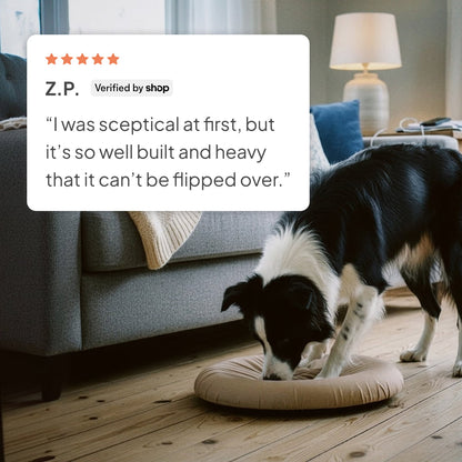 DigDrum – The Ultimate Dog Digging Toy